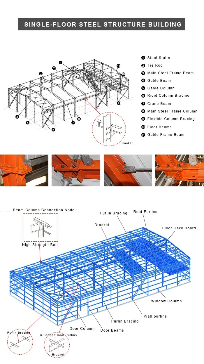 Chicken Broiler Poultry Farm Steel Structure Shed House for 15000 Chickens