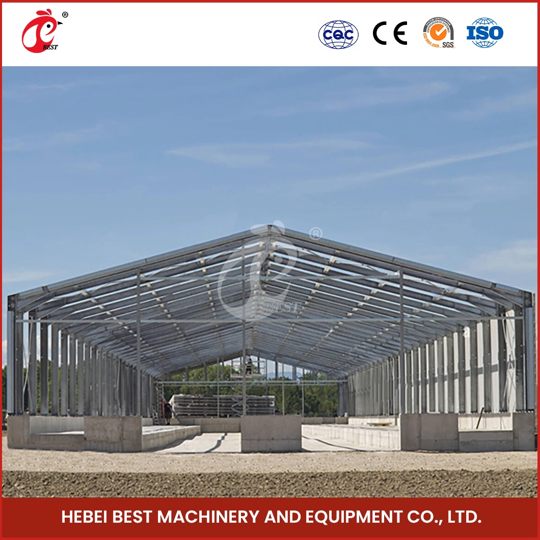 Bestchickencage Steel Poultry House China Structure Steel Chicken Houses Manufacturing Automatic Poultry Chicken Farmhouse Wholesale Light Steel Poultry House