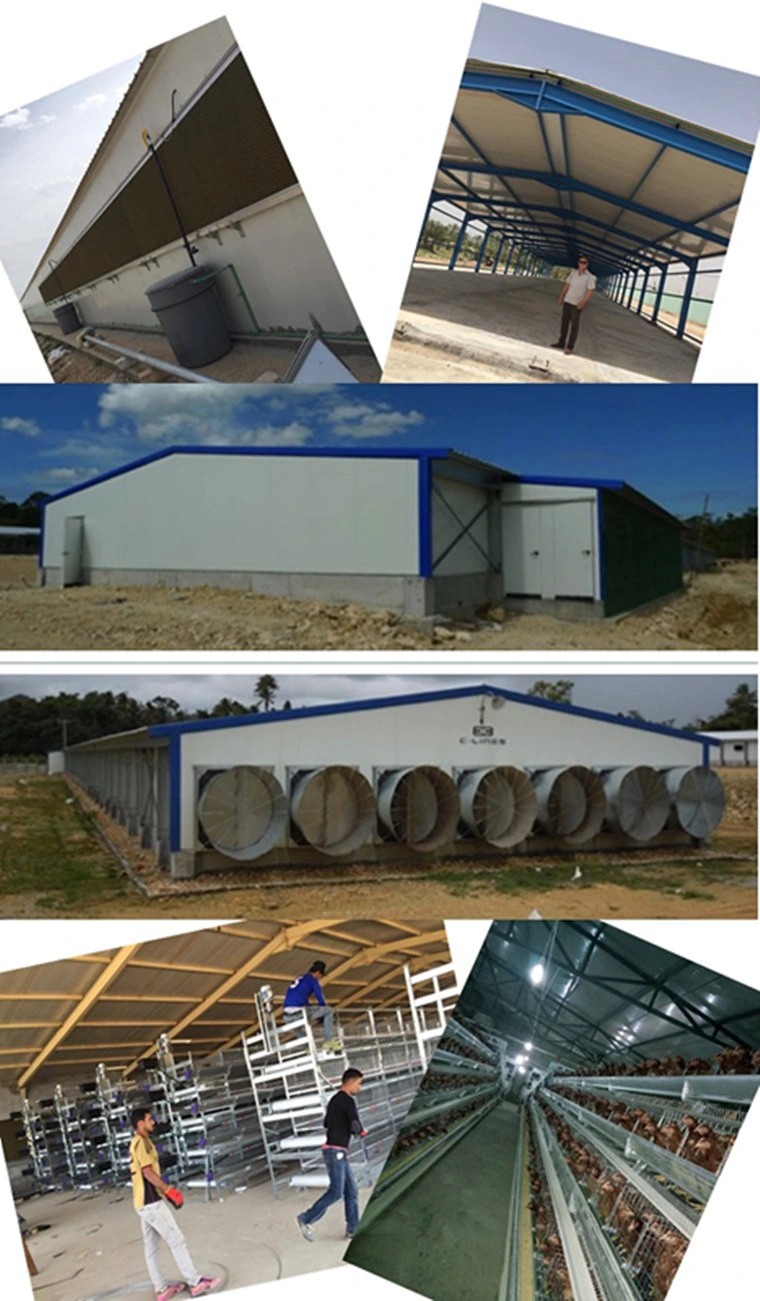 Factury Price Light Weight Metal Steel Structure Frame Broiler Farm/Poultry House/Broiler House/Chicken House with Equipment