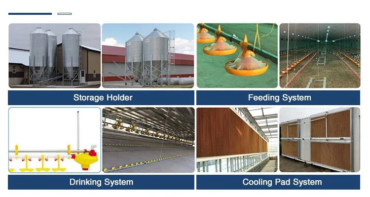 Hot Product Prefabricated Metal Barn Chicken House Customizable Cow Shed Pig Farm Steel Structure Farming