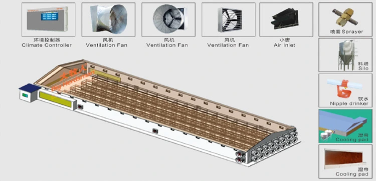 Prefabricated Steel Frame Construction Structure Poultry Farm Broiler Prefab Chicken House with Full Set Poultry Equipment for Chicken Factory