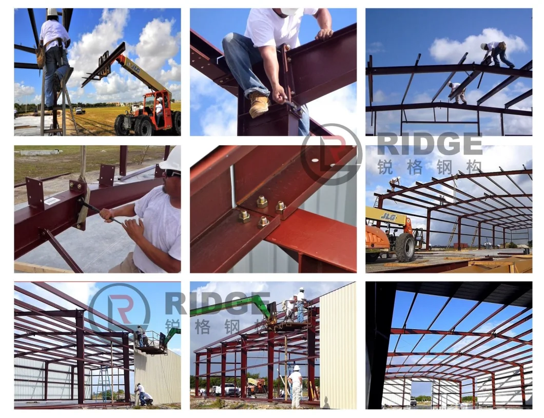 Prefabricated Low Cost Portal Frame Steel Structure Poultry Shed Chicken Farm Building House for 10000 Chickens