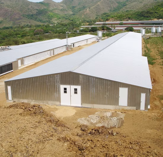 Vorfabriziertes helles Stahllager-Stahlgebäude-Lagerschuppen-Hangar-Stahlkonstruktion