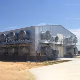 Stahlkonstruktion, grüne Hühner- und Geflügelstruktur, Herstellung von Geflügelfarmen, Preis