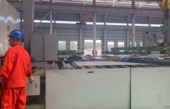 Vorgefertigter Stahlkonstruktions-Sandwichplatten-Hausbau für Geflügelstall